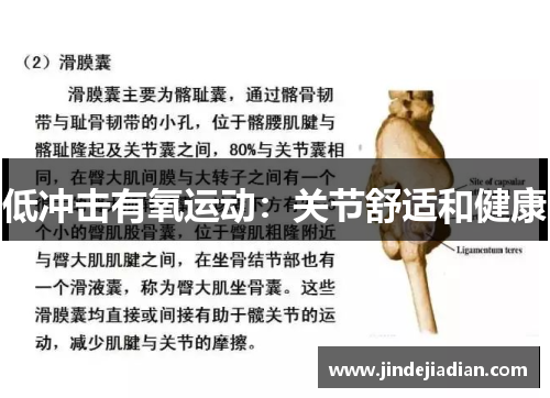 低冲击有氧运动：关节舒适和健康