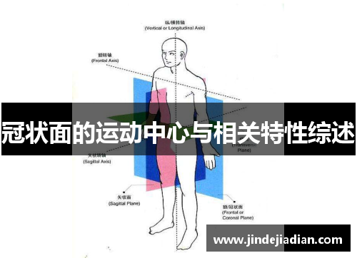 冠状面的运动中心与相关特性综述