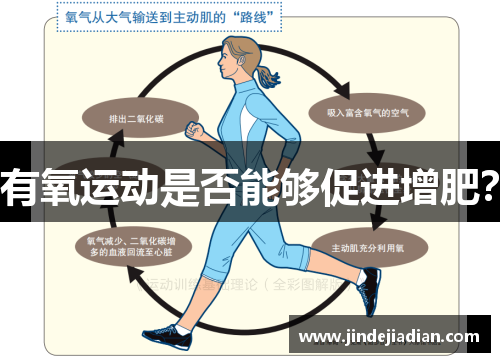有氧运动是否能够促进增肥？